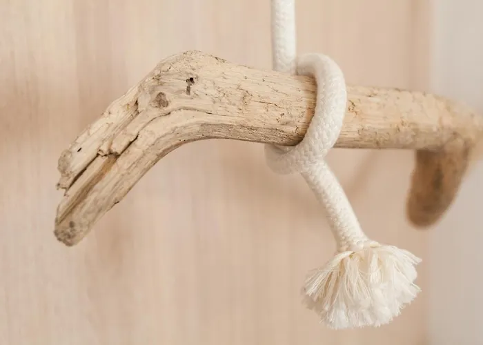 Viva Miragaia Downtown * Porto