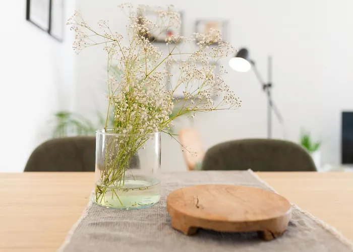 Viva Miragaia Downtown 아파트 *